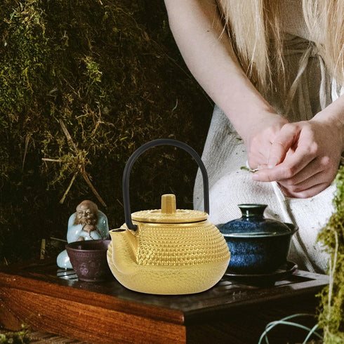BESTonZON Mini Tea Kettle Cast Iron Teapot Japanese Tetsubin Tea Kettle Decorative Tea Kettle Chinese Zen Style Teapot Loose Leaf Tea Pot for Stovetop Safe Golden Miniature Water Kettle by BESTonZON