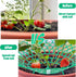 Fairooth 6 Pack 3 Strawberry Supports Strawberry Plant Support Stand Strawberry Growing Racks Protector Strawberry