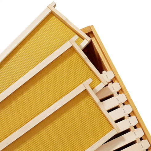 10 6-1/4 inch Honey Keeper Assembled Beehive Frames with Waxed Natural Foundations for Beekeeping