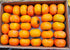 Persimmon 10+ Count 2026 TomorrowSeeds - Japanese Tree Seeds - - for Planting Diospyros Kaki Fuyu Hachiya Asian Chinese