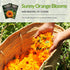 (1 Pack) Balls Orange Calendula Seeds for Planting Medicinal Herb & Edible Flower with Bright Orange Blooms Heirloom