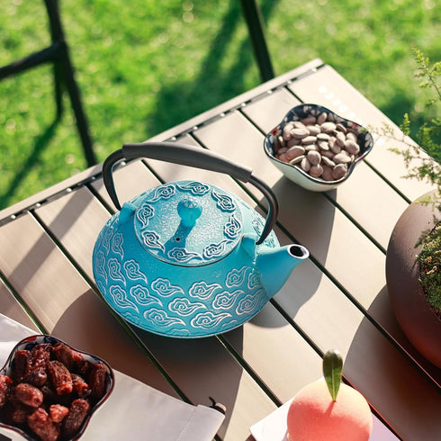 27oz, 800ml Cast Iron Teapot, Japanese Tea Pot with Infuser for Loose Leaf, Tea Kettle Stovetop Safe Coated