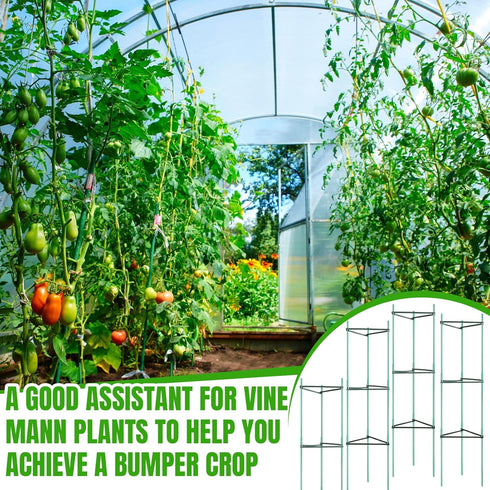 10 51 Inch Sunnyray Pcs Tomato Cage up to Plant Cage Deformable Trellis Assembled Tomato Garden Cages Plant Stakes
