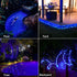33FT 100 8 ANJAYLIA LED Solar Rope Lights Outdoor Waterproof, Solar Powered Rope String Lights with Modes for Outdoor