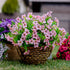 Artificial Flowers for Outdoors, 16 Bundles Faux Boxwood Greenery, No Fade Plastic Shrubs for Home Garden Decor (Pink)