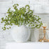 Thiccywoov 6 16 Inch Pcs Green Faux Berry Stems for Vase, Artificial Greenery Stems Branches for Home Decor, Farmhouse