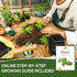 Pack 550+ Basil Seeds for Planting Home Garden Herbs - Individual of Heirloom Seeds, Suitable for Outdoors, Indoors
