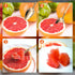 BOXOB 3pcs Set, Serrated Grapefruit Spoons and Knife Stainless Steel Grapefruit Curved Serving Utensils for Citrus