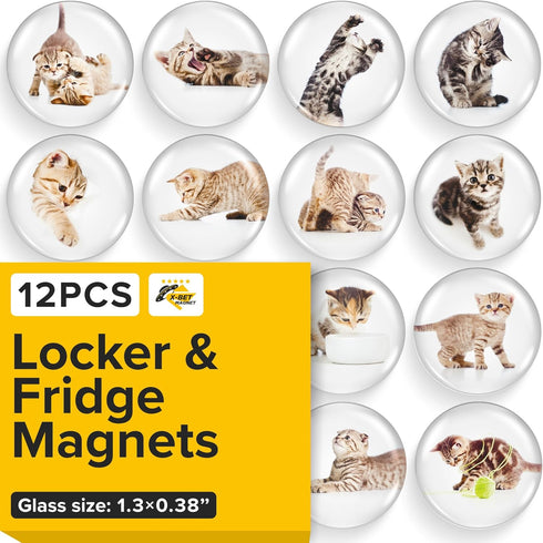 Super Cute Fridge & Locker Magnets – 12 Vibrant Glass Magnets for Photos, Notes, Recipes, Aesthetic Decoration