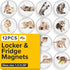 Super Cute Fridge & Locker Magnets – 12 Vibrant Glass Magnets for Photos, Notes, Recipes, Aesthetic Decoration