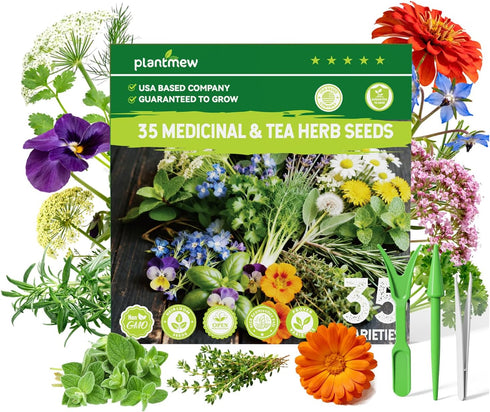 35 Pack Medicinal & Tea Herb Seeds for Planting - Non-GMO Heirloom Variety for Indoor/Outdoor Garden: Anise, Bergamot