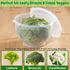 7" 8" Home-X Lettuce Keeper - BPA-Free Lettuce Keeper for Refrigerator to Keep Salads and Vegetables Fresh - x Lettuce