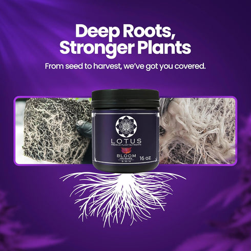 14+ 100% (16oz) Lotus Nutrients Bloom Pro Series, Water Soluble Hydroponic Plant Food for Flowering and Fruiting