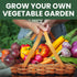 20 Packets Pack 2026 Packed Vegetable Seed | Survival Variety | Season | Individually Vegetables, Herbs and Fruits |