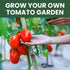 10 Packs 2026 Tomato Seeds | Individual | Season | Non-GMO | Roma, Brandywine, Cherry & More! | for Planting Indoor