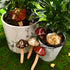 8 Patelai Pieces Ceramic Mushroom Figurine Garden Ceramic Mushroom Statue Garden Pot Decoration Lawn Ornaments