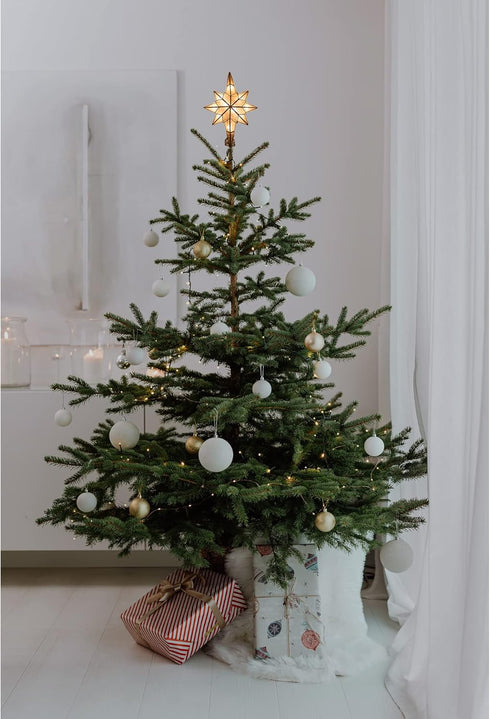 Kurt Adler UL0214/C 10-Light Capiz Star of Bethlehem Treetop