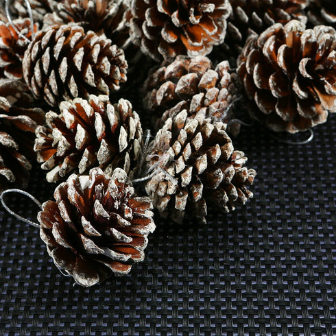Cooraby 24 Pieces Christmas Pine Cones Ornament, Natural with String for Tree Decoration (Snow)