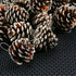 Cooraby 24 Pieces Christmas Pine Cones Ornament, Natural with String for Tree Decoration (Snow)