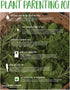 19.3 oz. 4 Pack Bonnie Plants Grape Tomato