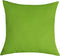 Handmade Decorative Solid 100% Cotton Canvas Throw Pillow Covers, 20"x20", Apple Green - TangDepot