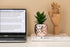 Porcelain Potted Artificial Succulent 7.8" Pineapple Plant for Home Office Kitchen Decoration