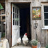 Decorative Metal Rustic Garden Sign - "I Just Want to Work in My Garden and Hang Out with My Chickens" - 8" x 12"