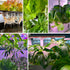 MEYCEMT 50 Pack, Hydroponic Growing Sponges Universal Fit Sponges & Seed Pods for Starting Seeds, Indoor Outdoor Garden