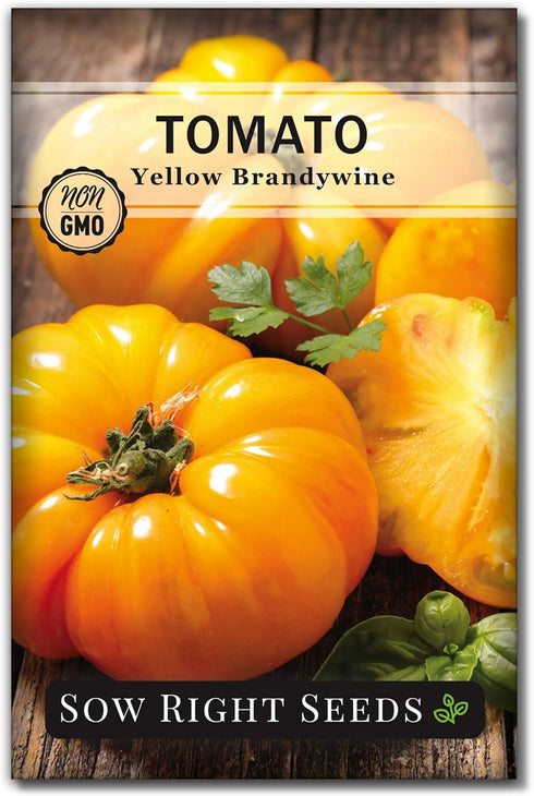 Sow Right Seeds - Yellow Brandywine Tomato Seeds for Planting - Non-GMO