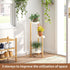 3 3 FILWH Plant Stand Indoor Outdoor Plant Rack Tier Potted Flower Holder Ladder Plant Stands for Balcony Window Living