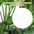 BOXOB 2pcs 2 Set Monstera Leaf Plant Support, Size Climbing Plant Stem Stand Hooks Ideal Monstera Stakes Grapple Pole