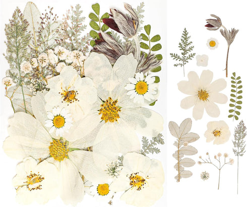 50Pcs Dried Pressed Flowers - Real Pressed Flowers, Natural Dry Leaves, Bulk Colorful Herbs Kit for Crafts