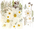 50Pcs Dried Pressed Flowers - Real Pressed Flowers, Natural Dry Leaves, Bulk Colorful Herbs Kit for Crafts