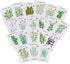 Sereniseed Certified Organic Herb Seeds (20-Pack) Non GMO, Heirloom Seed Starting Video