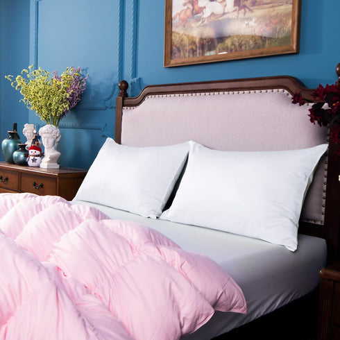 NTBAY Egyptian Cotton Queen Pillowcases - Set of 2, 500 Thread Count, Soft and Breathable, 20x30 Pillow Covers