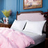 NTBAY Egyptian Cotton Queen Pillowcases - Set of 2, 500 Thread Count, Soft and Breathable, 20x30 Pillow Covers