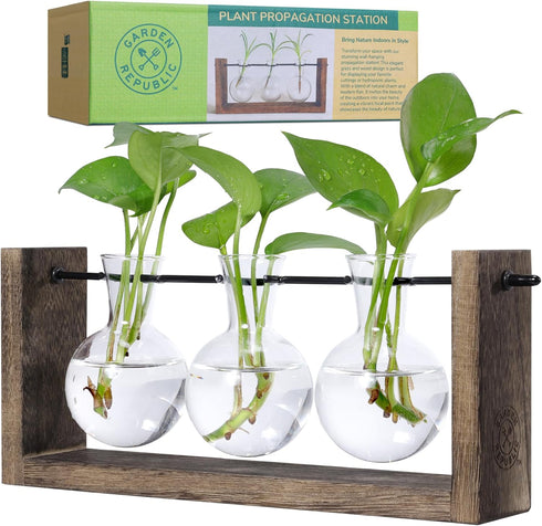 GARDEN REPUBLIC Plant Propagation Station, Wooden Stand with Propagation Tubes, Hanging Plant