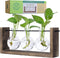 GARDEN REPUBLIC Plant Propagation Station, Wooden Stand with Propagation Tubes, Hanging Plant
