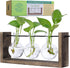 GARDEN REPUBLIC Plant Propagation Station, Wooden Stand with Propagation Tubes, Hanging Plant
