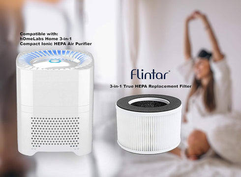 Flintar True HEPA Replacement Filter, Compatible with hOmeLabs Home 4-in-1 Compact HEPA Air Purifier, 2-Pack