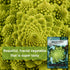 Packet (4) Sow Right Seeds - Romanesco Broccoli Seeds for Planting - Non-GMO Heirloom with Instructions to Plant an
