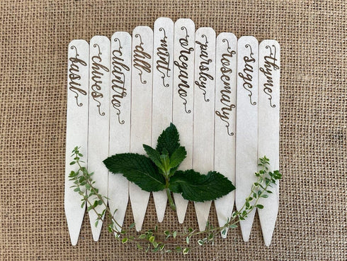 Gardinnovations 10-Pack Plantid Assorted Kitchen Herbs! Farmhouse Decor Outdoor Indoor Herb Garden Stakes, Plant
