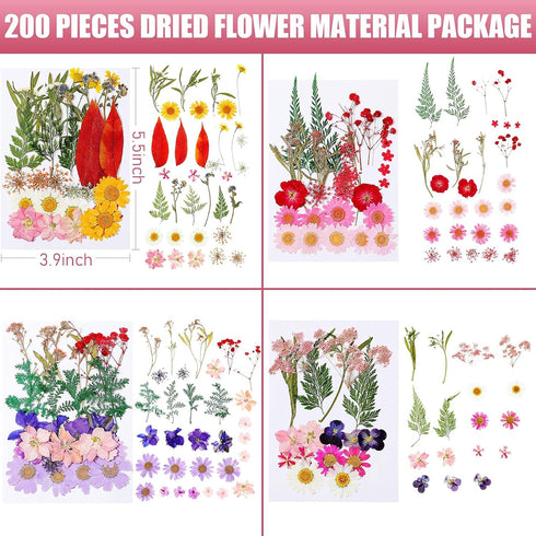Nuanchu 200 Pcs Dried Pressed Flowers for Crafts, Natural Real Leaves Bulk for DIY Art Jewelry Making