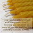 100% Pure Beeswax Spiral Twist Taper Candles - Organic Set of 6, 8 Inches Tall, 3/4 Inch Diameter