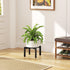 6.1 bussdis Plant Stand Holder Single Plant Riser For Indoor Outdoor Flower Pot Stand IN Tall Metal Black
