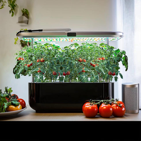 1,500+ 10 Tomato Seeds, Heirloom Vegetable Seed for Planting Indoor Outdoor, Varieties Salad Tomato Seeds Garden