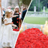 Artificial Silk Rose Petals for Romantic Night, Wedding, Party, Anniversary Decorations, Red, 3000 PCS