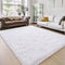 Amearea Premium Soft Fluffy Rug Modern Shag Carpet, 5' x 7', Fuzzy