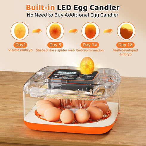 QVKHPCL 12 6 Incubators for Hatching Eggs Egg Digital Egg Incubator Precision Auto Temp Humidity Control Gear