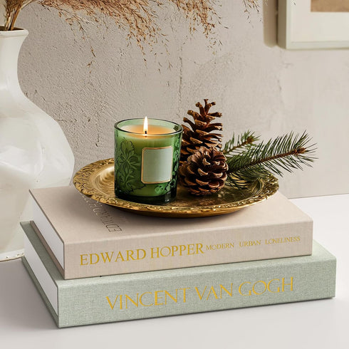 Comgrenwind Modern Decorative Books, Set of 2 Linen Fake Books Storage Box Decoration,